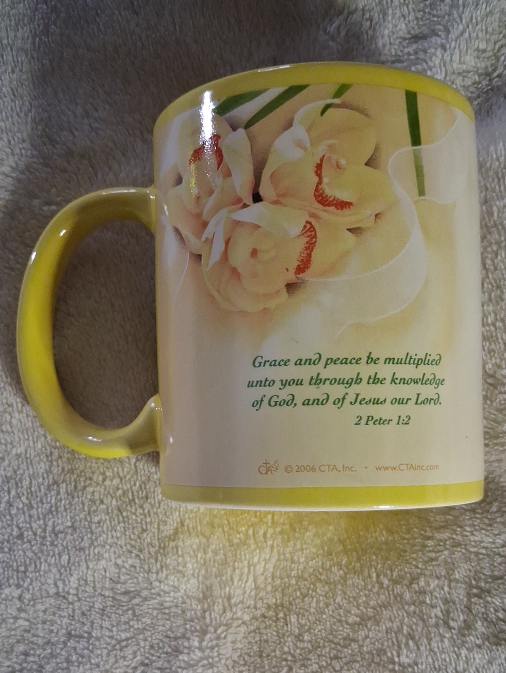WOMAN OF GOD LIVING IN GRACE Coffee Mug -